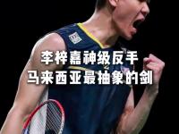 开云体育app-包含印尼队轻取丹麦队，李梓嘉状态火热的词条