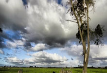 开云体育-关于格拉纳达在比赛中激情拼搏，以微弱优势获胜的信息